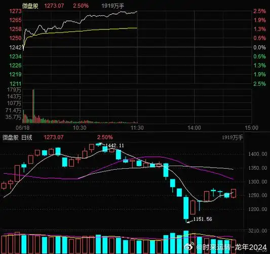 揭秘“配资网大全”：全方位解析股票配资平台的秘密